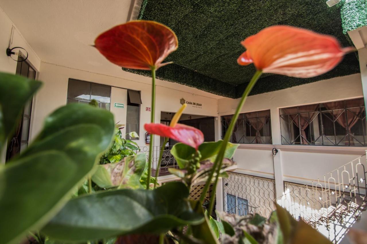 Casa De Juan Hostal Xalapa Dış mekan fotoğraf